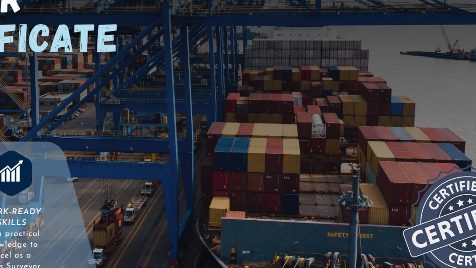 Expert in Chemical & Petro-Chemical Cargo Inspection online maritime training
