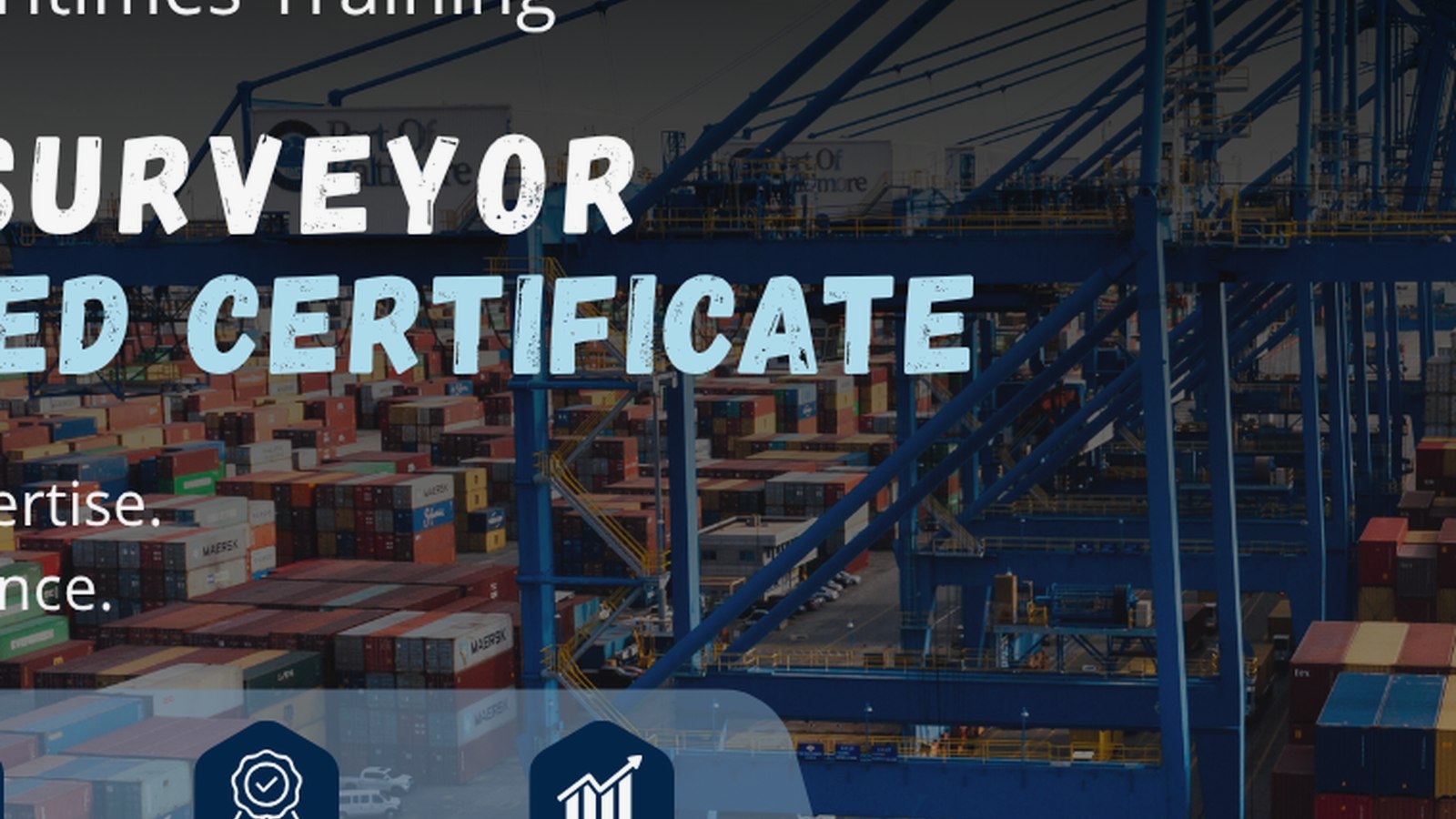 Dry Bulk Vetting — RightShip Requirements online maritime training
