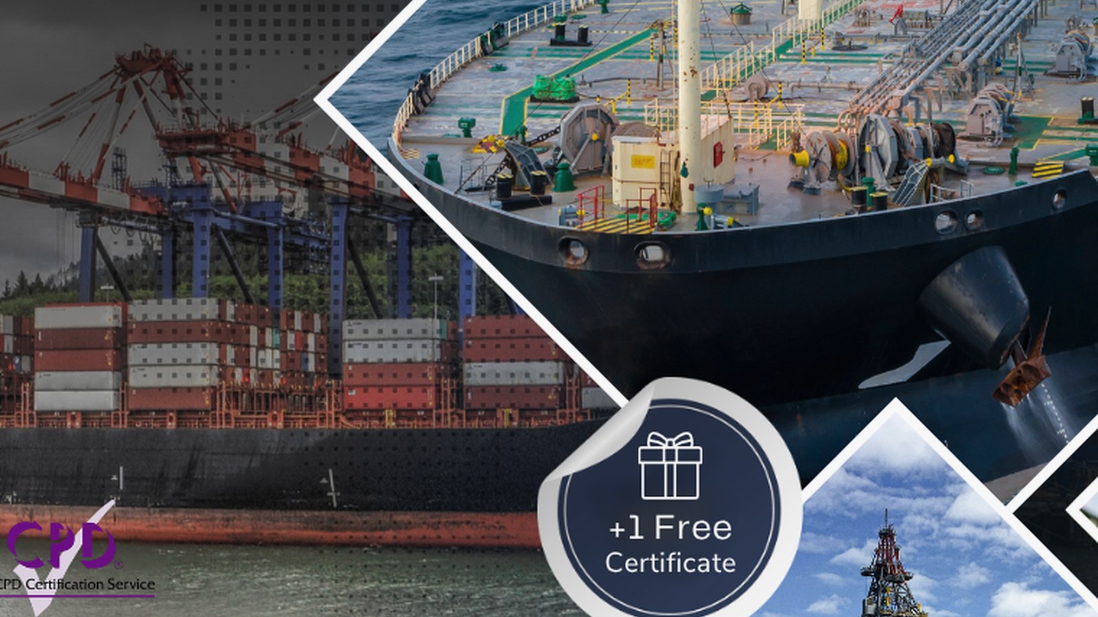 General Cargo Inspection / Cargo Survey online maritime training