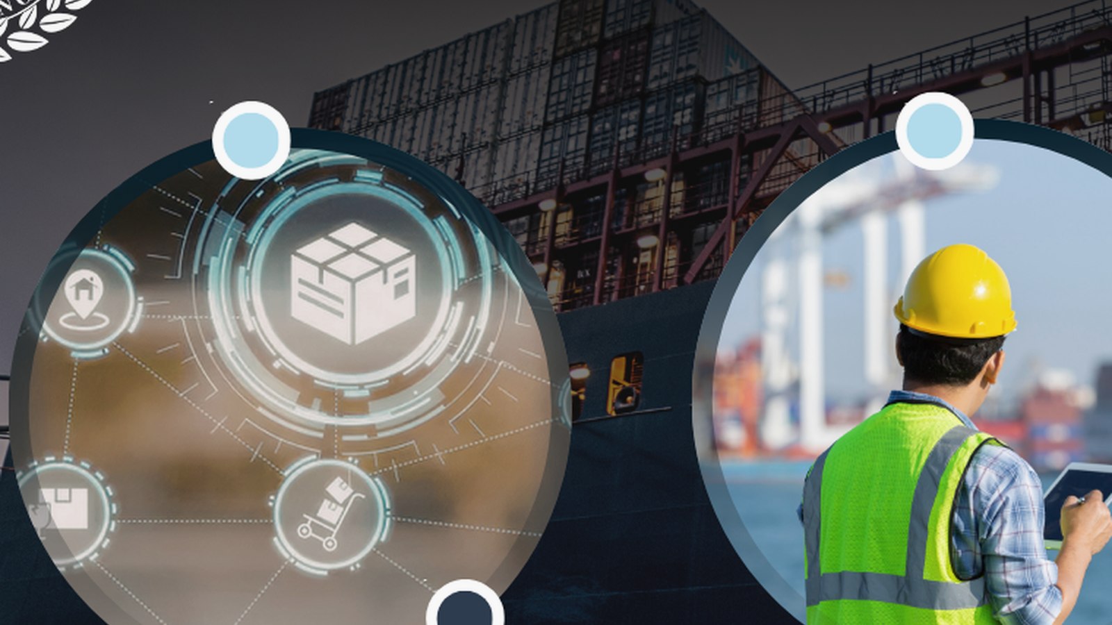Shipping & Cargo Container Survey online maritime training