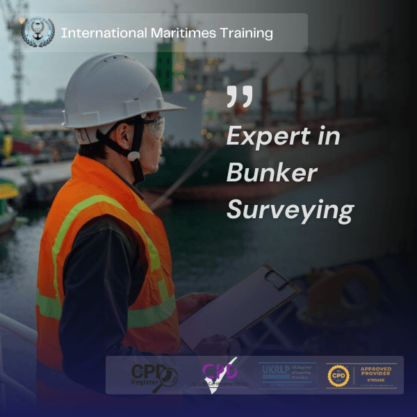 Marine Cargo Surveyor inspecting cargo at port